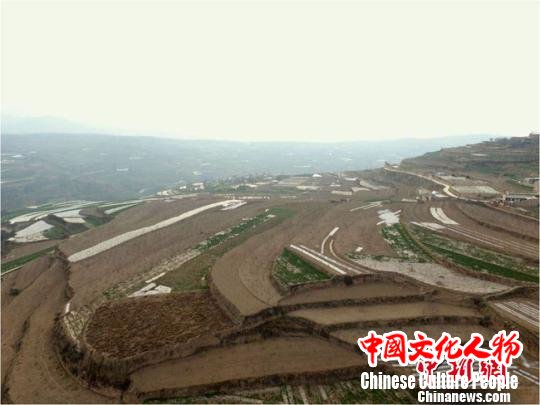 中国十余载考古研究解秦人系列历史谜团