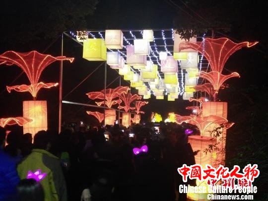 武汉东湖灯会开幕巨型灯组将申报吉尼斯世界纪录