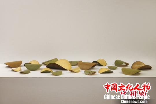 作品《龟》。校方提供