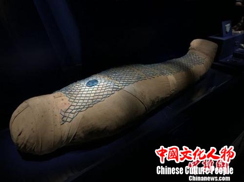 距今三千年的木乃伊现身三晋大地。胡健 摄 距今三千年的木乃伊现身三晋大地。胡健 摄