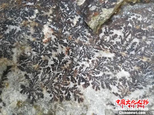 浙江永嘉现“假化石”或形成于亿年前具观赏价值