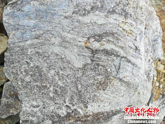 石块上“印染”着大片“波浪” 蔡思宽 摄 石块上“印染”着大片“波浪” 蔡思宽 摄