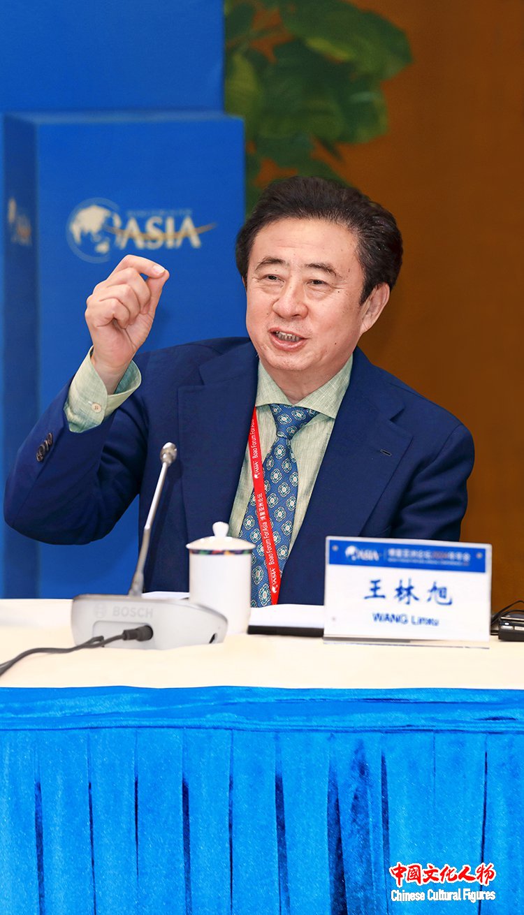 第十一届、十二届、十三届全国政协常委，国家有突出贡献文化艺术专家，博鳌亚洲论坛特别代表王林旭出席博鳌亚洲论坛2024年年会文化圆桌会议并发言